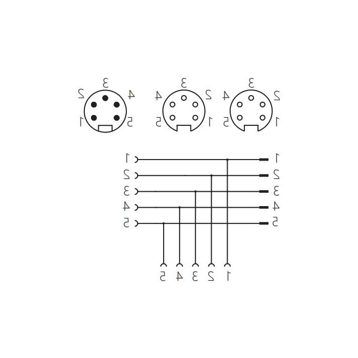  7/8" 5 Pin male/2x 7/8 "5 Pin female、T-shaped power supply tee、0PI555